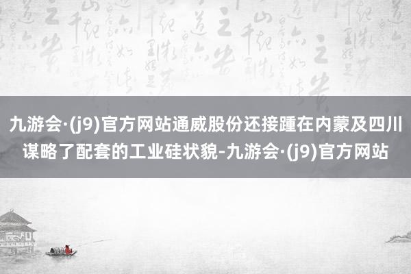 九游会·(j9)官方网站通威股份还接踵在内蒙及四川谋略了配套的工业硅状貌-九游会·(j9)官方网站