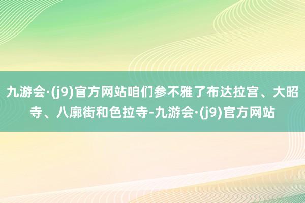 九游会·(j9)官方网站咱们参不雅了布达拉宫、大昭寺、八廓街和色拉寺-九游会·(j9)官方网站