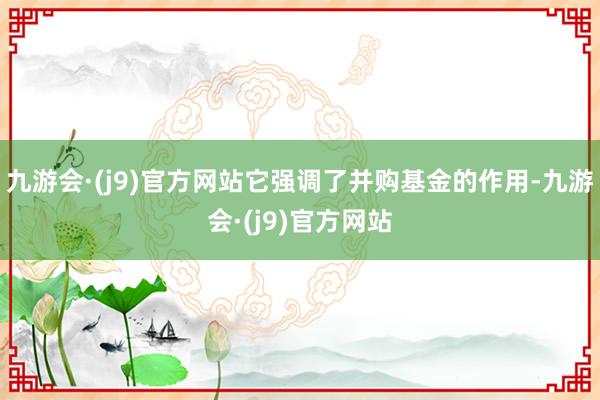 九游会·(j9)官方网站它强调了并购基金的作用-九游会·(j9)官方网站