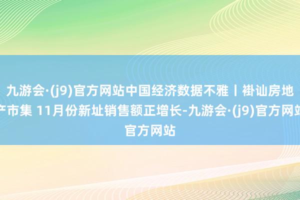 九游会·(j9)官方网站中国经济数据不雅丨褂讪房地产市集 11月份新址销售额正增长-九游会·(j9)官方网站